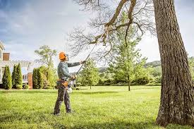 Best Tree Trimming and Pruning  in Midlothian, TX