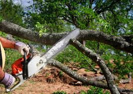 Lawn Watering Services in Midlothian, TX