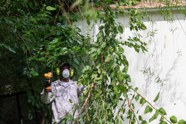 Best Tree Risk Assessment  in Midlothian, TX